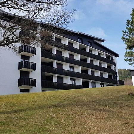 Les Dryades Gérardmer Exteriér fotografie