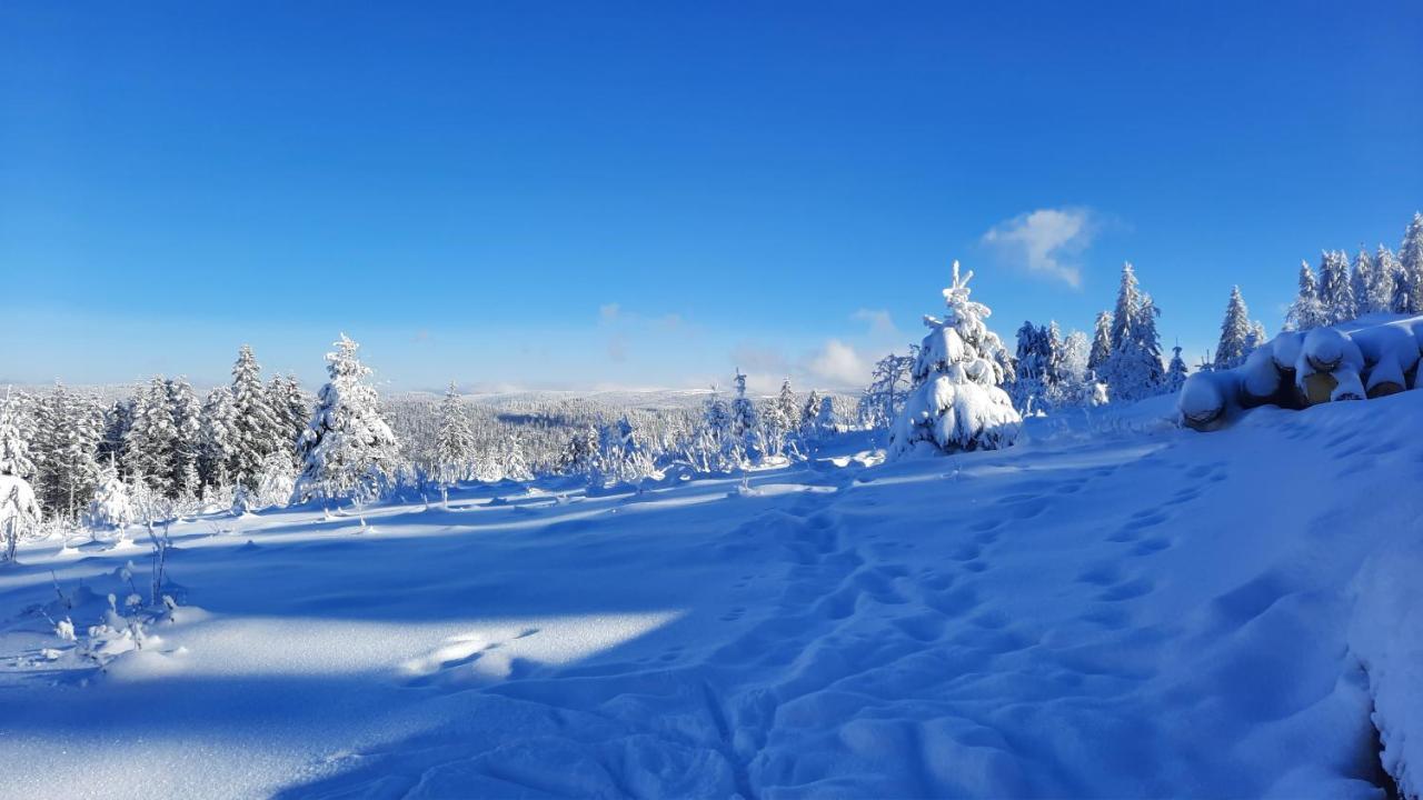 Les Dryades Gérardmer Exteriér fotografie