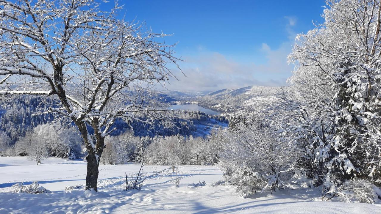 Les Dryades Gérardmer Exteriér fotografie