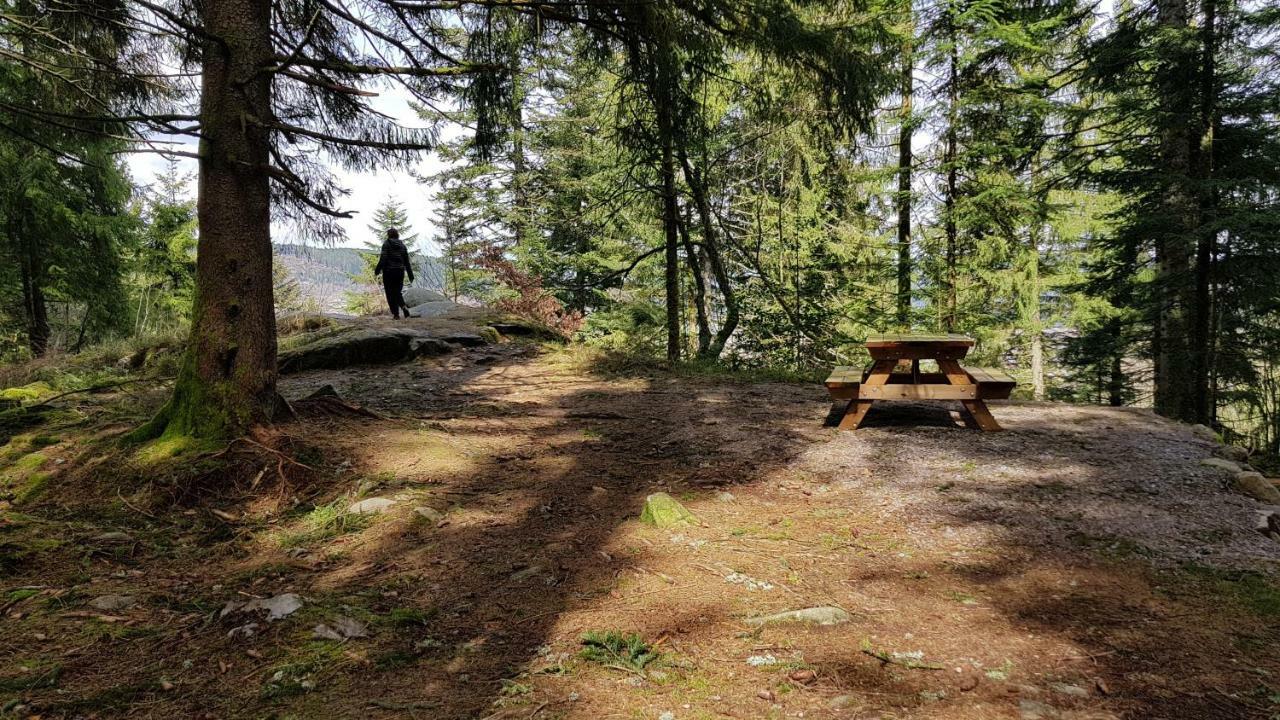 Les Dryades Gérardmer Exteriér fotografie