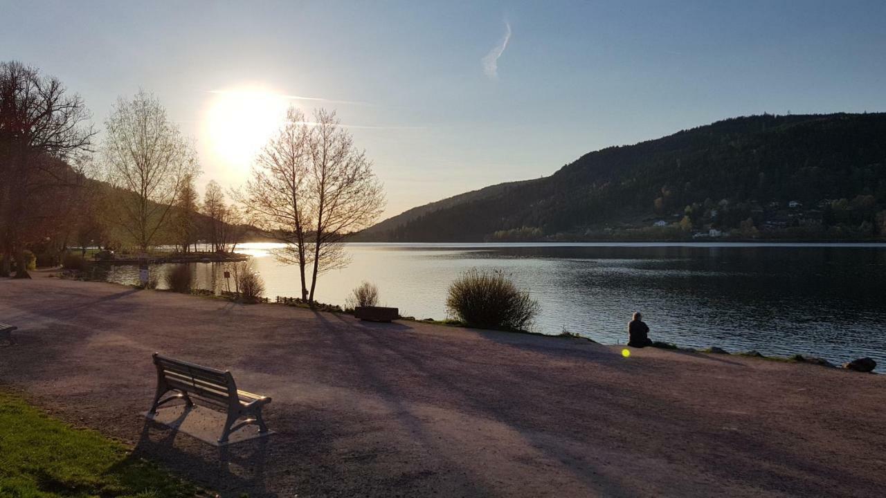 Les Dryades Gérardmer Exteriér fotografie