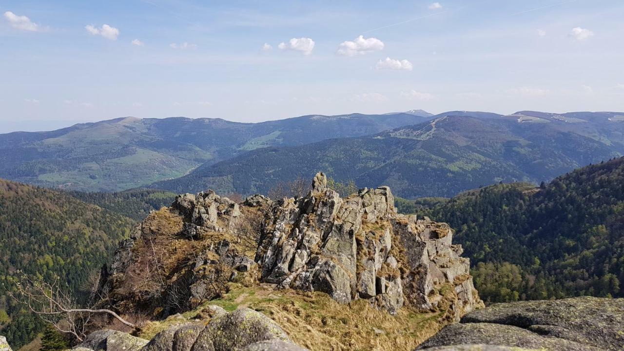 Les Dryades Gérardmer Exteriér fotografie